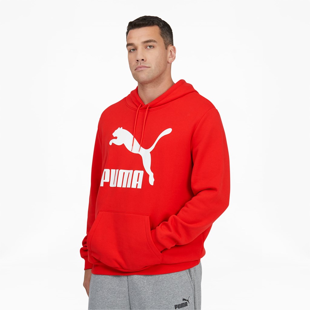 Puma Essentials - Rojo - Sudadera Capucha Hombre
